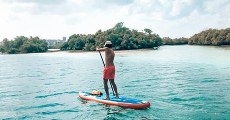 Stand-Up Paddleboard Rental