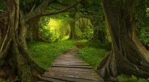 Meditation Online Course