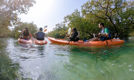 Mangrove Kayak Tour: Child (AED 75) or Adult (AED 109)