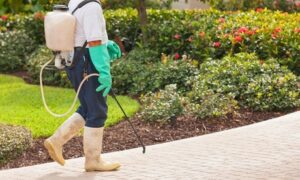 Up to 40% Off on Pest Control Service - General