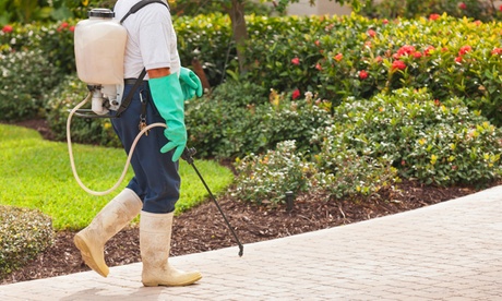 Up to 40% Off on Pest Control Service - General