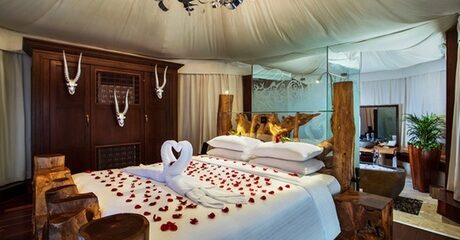 Al Ain: 1-Night 5* Romantic Packages with Camel Ride