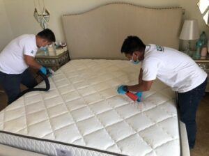Up to 0% Off on Mattress Cleaning at Zen Tek Technical Services