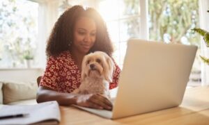 Pet Behaviour Online Course