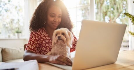 Pet Behaviour Online Course