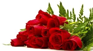 Up to 40% Off on Flowers & Plants (Retail) at MY ROSES DMCC