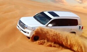 Up to 60% Off on Desert Safari Tour at Arabian Holidays Tours