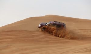 Red Dunes Desert Safari with Live Entertainment