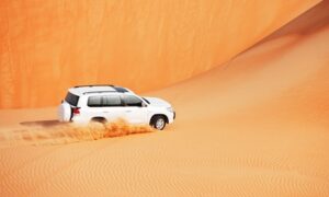 Desert Safari - Luxury Tours