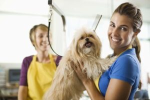 61% Off on Pet - Grooming / Salon at VIP PETS Grooming Salon