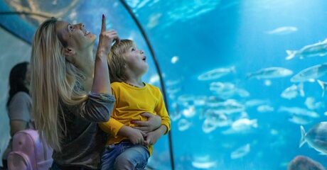 Dubai Aquarium Zoo Ticket