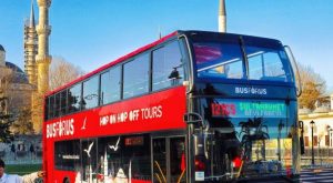 1-Day Hop-On-Hop-Off Bus Tour with Commentary Sightseeing and Tours