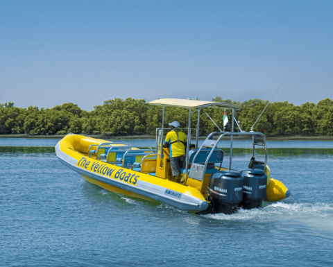 45-minute Yas Experience Abu Dhabi Sightseeing Boat Tour Boat Tours and Cruises