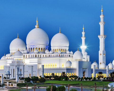 Abu Dhabi Private City Tour from Dubai with Transfers Sightseeing and Tours