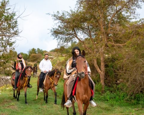 Advanced Horse Riding Experience Sightseeing and Tours