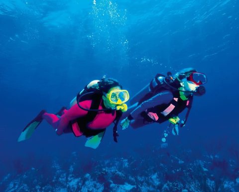 Antalya Diving Tour With Lunch And Transfer Recently Added Experiences