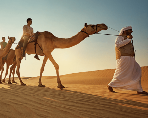 Camel Trekking Experience In Abu Dhabi With Transfers In Land Cruiser Top-Rated Attractions