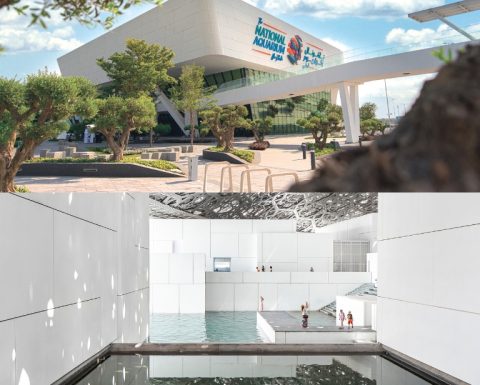 Combo: The National Aquarium + Louvre Abu Dhabi Combos and more adventures