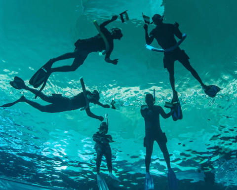 Deep Dive Dubai Surface Snorkeling Experience Water Sports