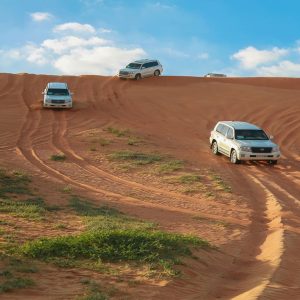 Desert Safari in RAK: Dune Bashing