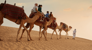 Dubai Sunset Safari Delight with BBQ dinner and camel ride Desert safaris