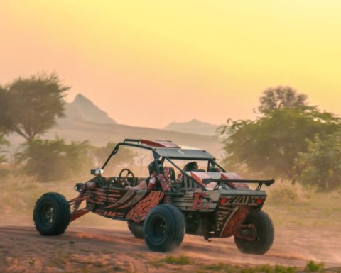 Dune Buggy Experience with Private Dinner Desert safaris