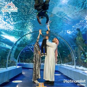 Fakieh Aquarium Experiences
