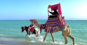 Full Day Obhur & Beach Tour With Transfers Recently Added Experiences