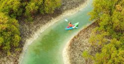 Guided Kayak Tour in the Reem Central Park Mangroves Water Sports