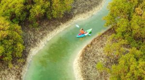 Guided Kayak Tour in the Reem Central Park Mangroves Water Sports