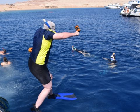 Half-day Snorkeling Boat trip with lunch and drinks from Sharm El Sheikh Sightseeing and Tours