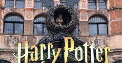 Harry Potter Studio Tour departure from Victoria/Baker Street Recently Added Experiences