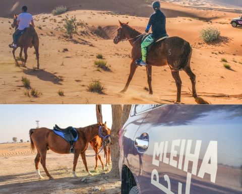 Horse Back Riding Desert Hack Sports Events