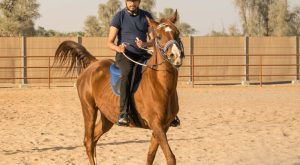 Horse Riding At Mleiha Arena Sports Events