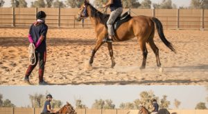 Horse Riding Training Course One Session Sports Events