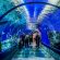 Istanbul Aquarium Ticket & Shuttle Experiences