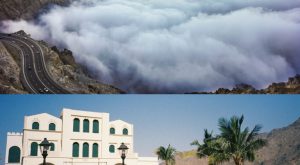 Jeddah: Full Day Taif Tour With Lunch Recently Added Experiences