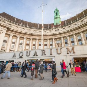 SEA LIFE London Aquarium - Same day Ticket Top-Rated Attractions