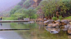 Salalah: Private Full-Day Jebel Safari Tour East Recently Added Experiences