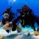 Side Scuba Diving Tour Recently Added Experiences