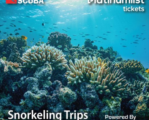 Snorkeling Daily Trips in Jeddah Attractions Special Offers