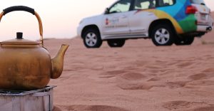 Sunrise and Wildlife Experience in the Desert Desert safaris