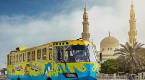 Wonder Bus Tour Sightseeing and Tours