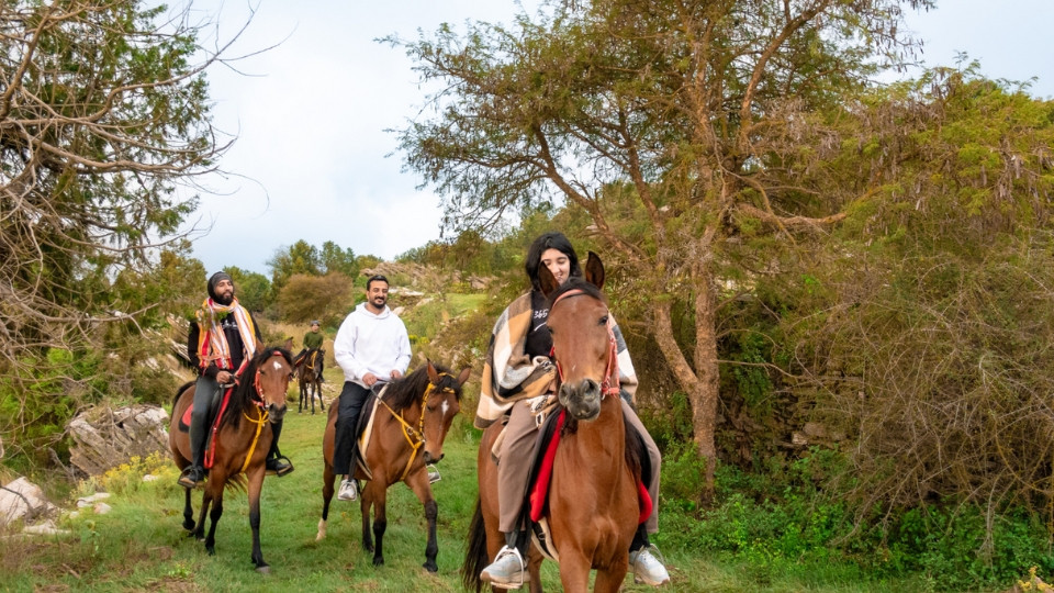 Horse Riding Experience - Recently Added Experiences