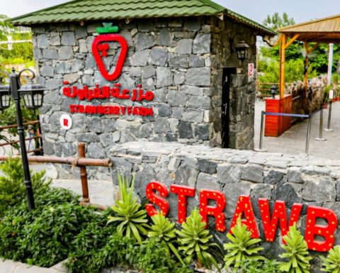 Strawberry Farm Top-Rated Attractions