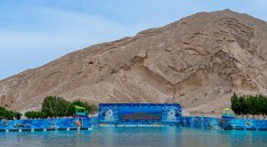 Al Ain Adventure Recently Added Experiences