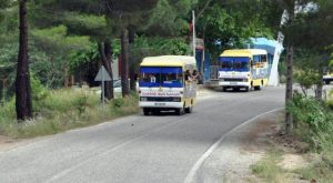 Cabrio Bus Safari Recently Added Experiences