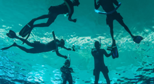 Deep Dive Dubai Surface Snorkeling Experience Water Sports