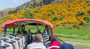 Edinburgh Hop on Hop off Bath Sightseeing and Tours