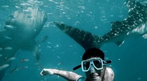 Exclusive Boating Experience - Dolphins Watching & Snorkeling Sightseeing and Tours